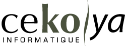 Cekoya Informatique